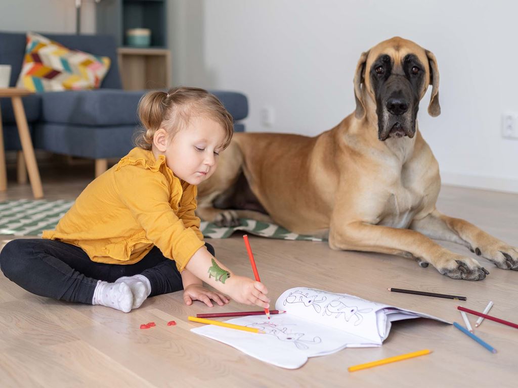 Barn och hund leker på golvet i nybyggt hus